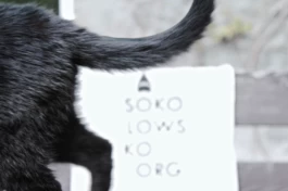  Sergey Kolosov's photo