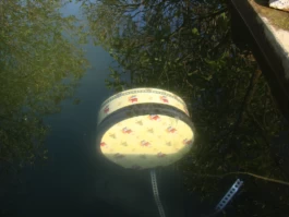 Sergey Kolosov's photo