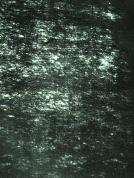 Sergey Kolosov's photo