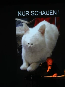 Sergey Kolosov's photo