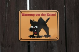  Sergey Kolosov's photo