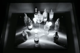  Sergey Kolosov's photo