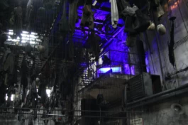  Sergey Kolosov's photo