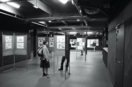  Sergey Kolosov's photo